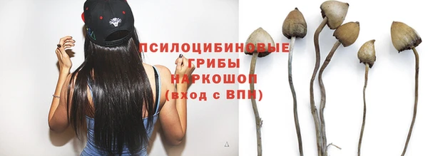 не бодяженный Медвежьегорск