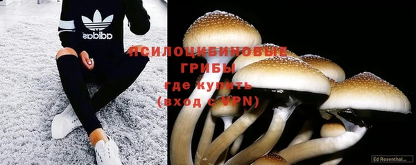 меф Мегион