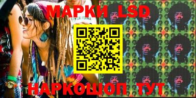 кокс Гатчина