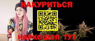 кокс Гатчина