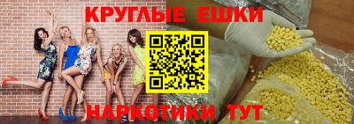 кокс Гатчина