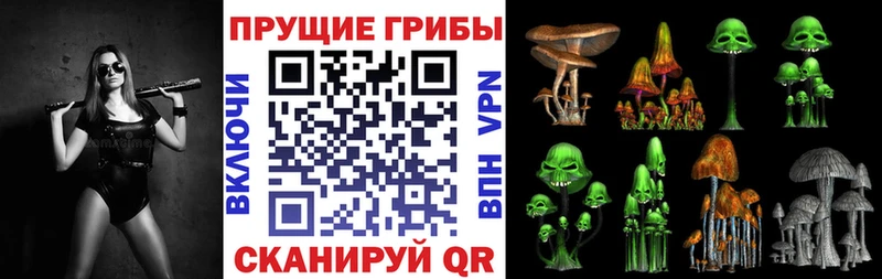 Галлюциногенные грибы мицелий Новочебоксарск