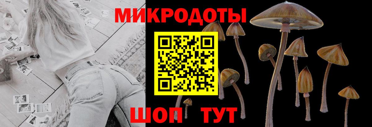 Галлюциногенные грибы ЛСД  Галлюциногенные грибы ЛСД  где можно купить наркотик  Вход с VPN  Новочебоксарск 